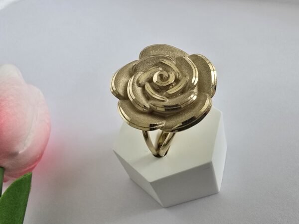 Anillo 10k